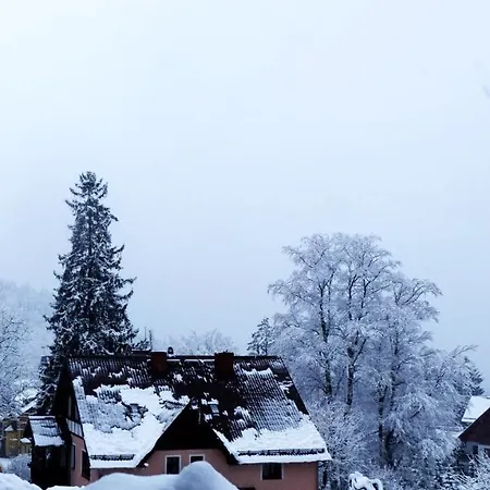 Apartman Slowackiego